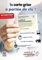 carte grise 